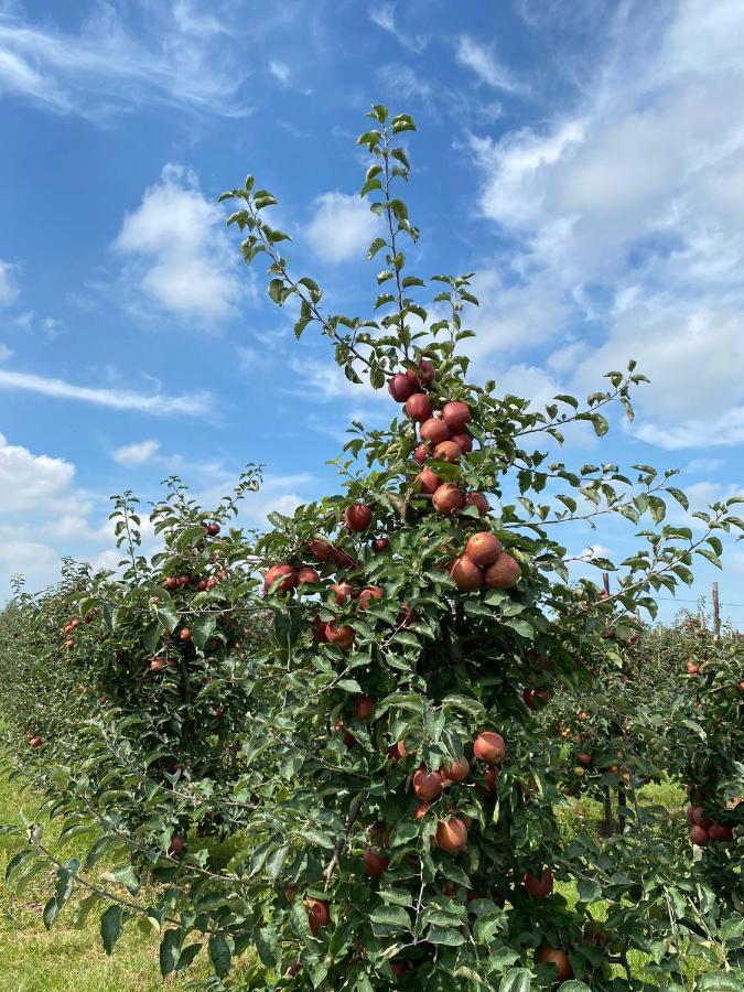 Appartamento Het Arrangement Wemeldinge Esterno foto